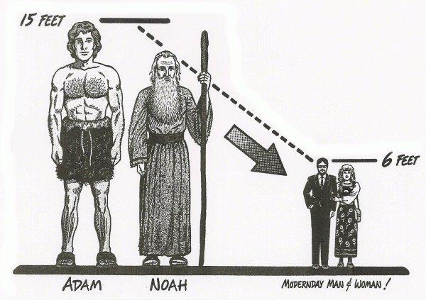 Adam And Size Chart