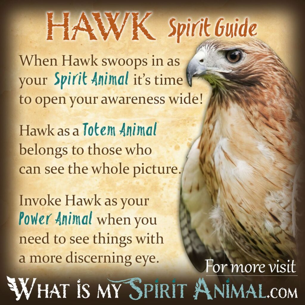 Spiritual meaning of hawks in the bible