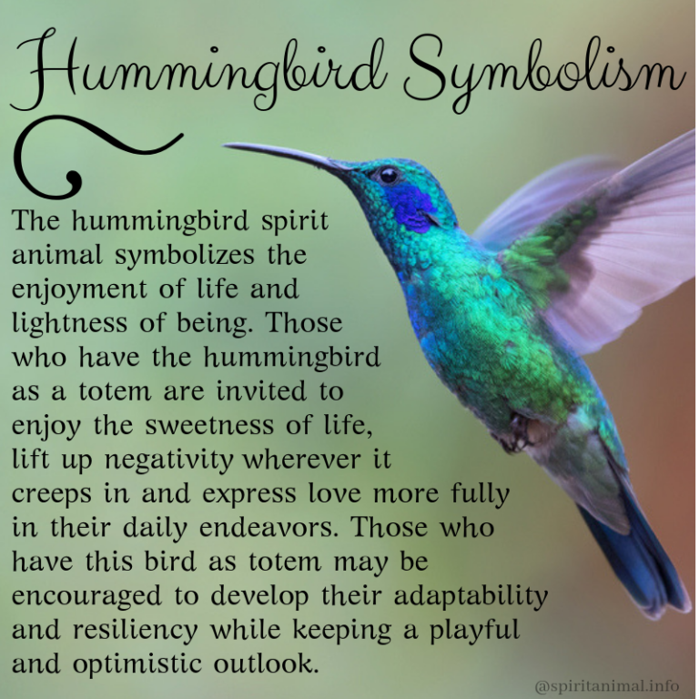 Hummingbird In The Bible - CHURCHGISTS.COM