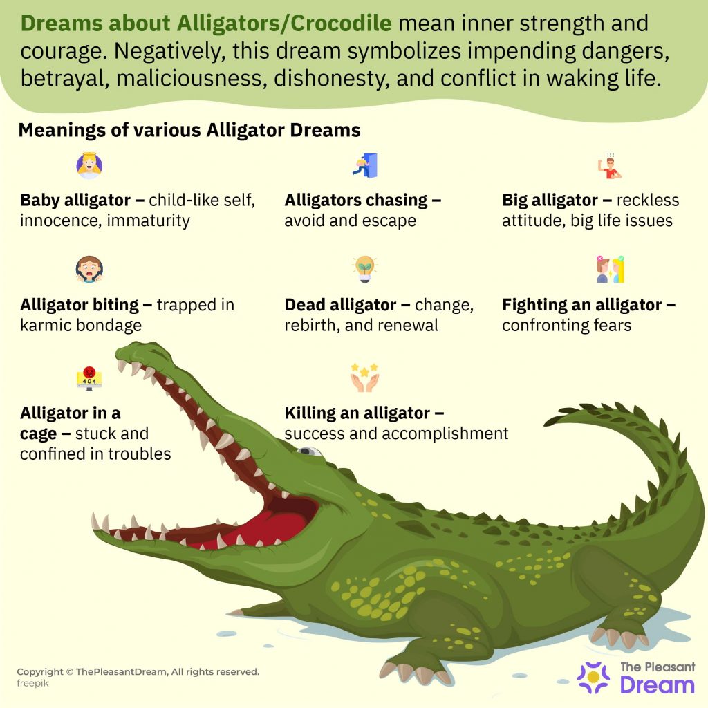 What Does It Mean To Dream About Alligators Chasing You Churchgistscom