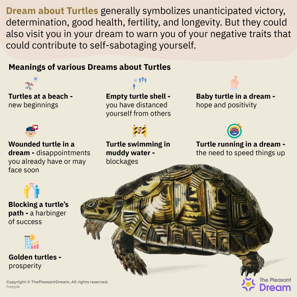 What Does It Mean When You Dream About Baby Turtles