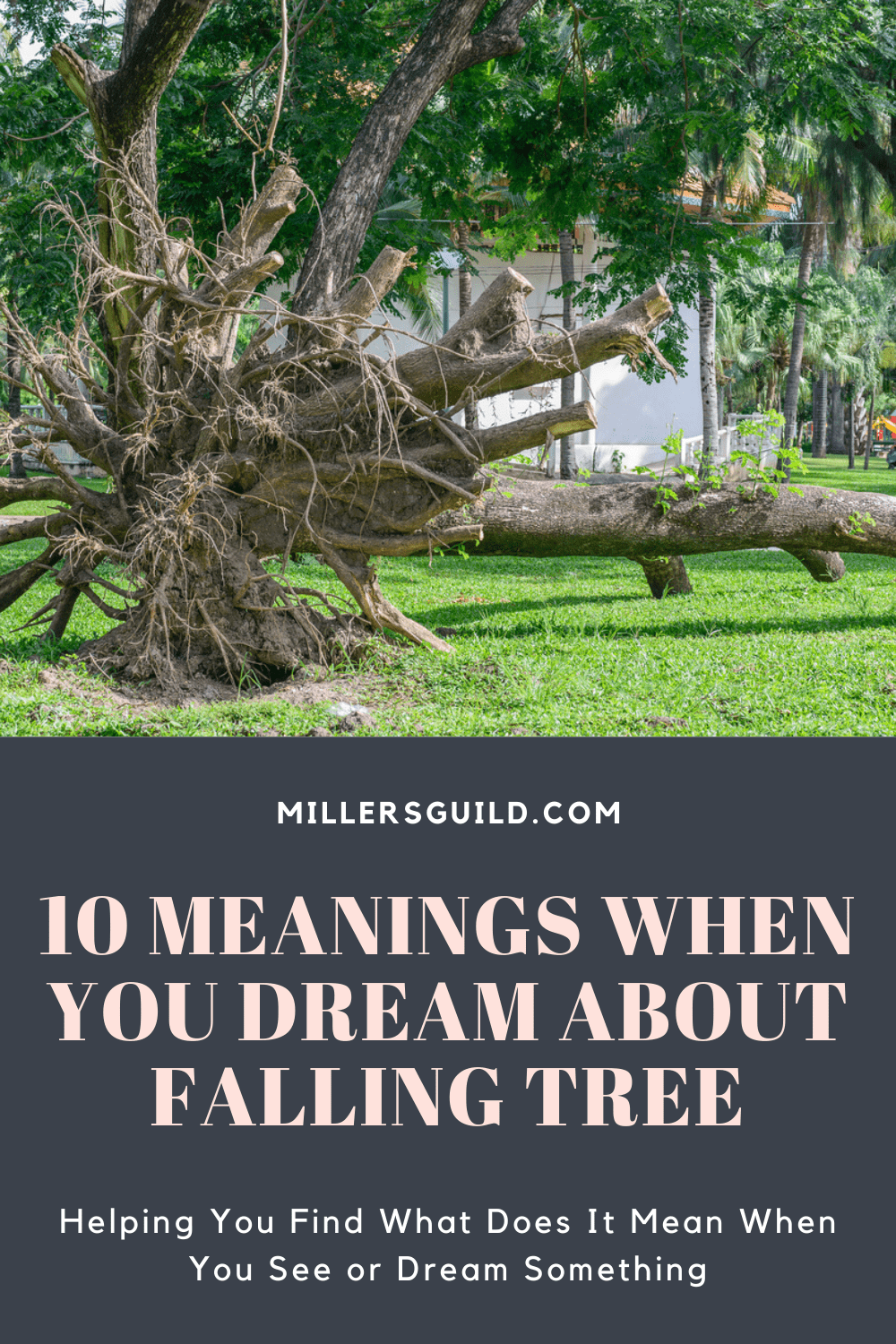 What Does It Mean When You Dream About Trees Falling